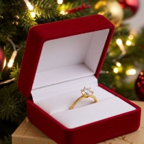 Bilde for kategori Forlovelsesring